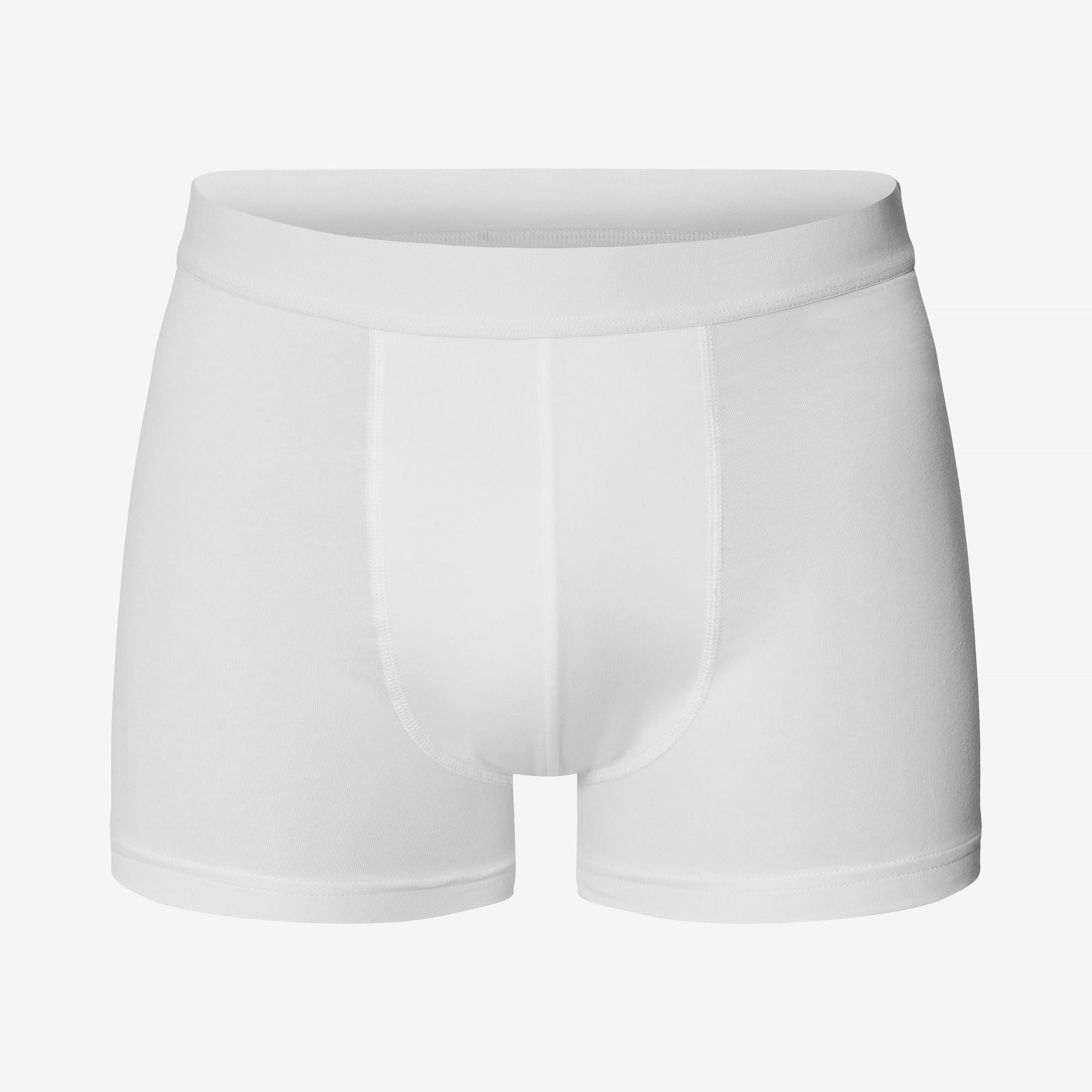 Bread & Boxers Boxer Brief Modal 2-pack White