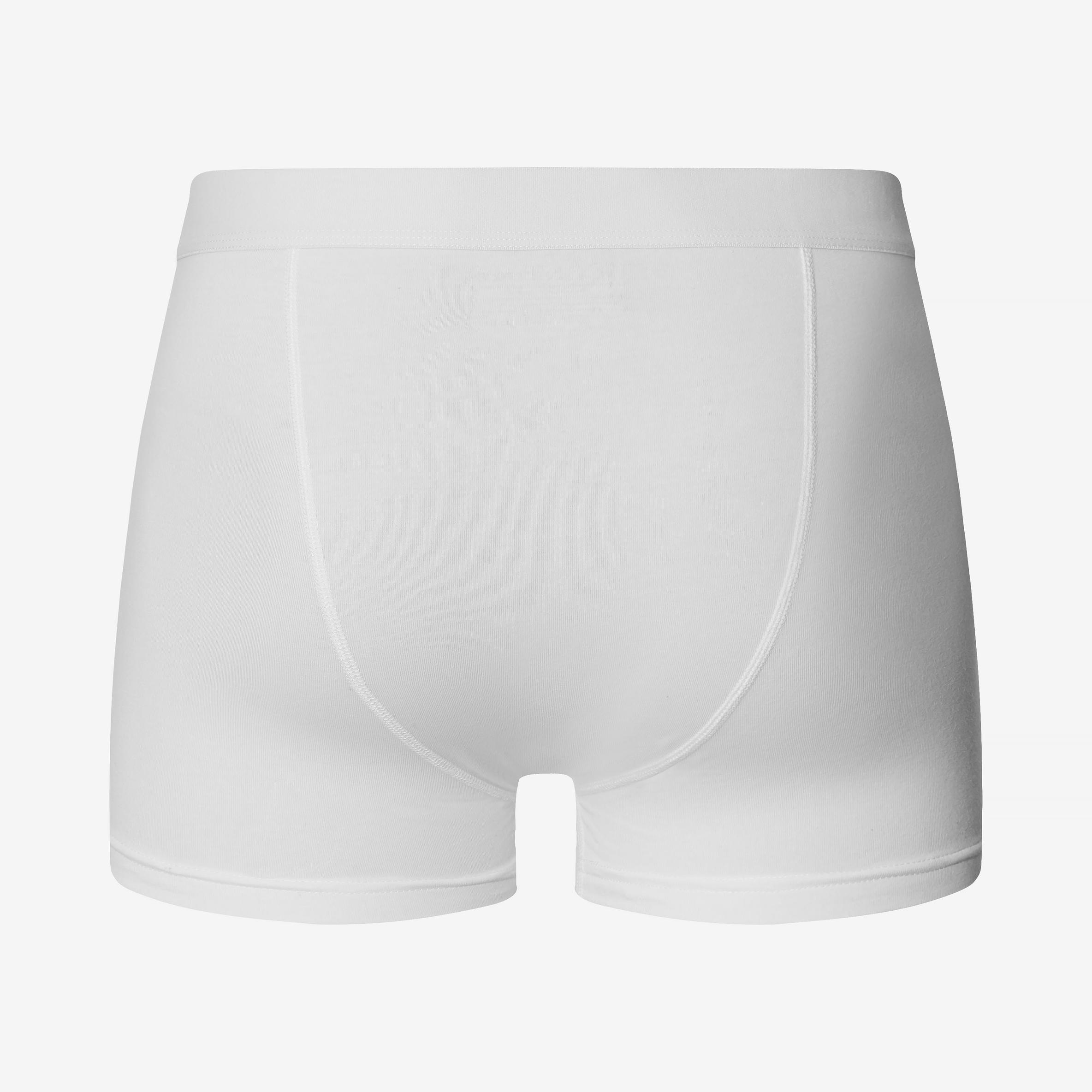 Bread & Boxers Boxer Brief Modal 2-pack White